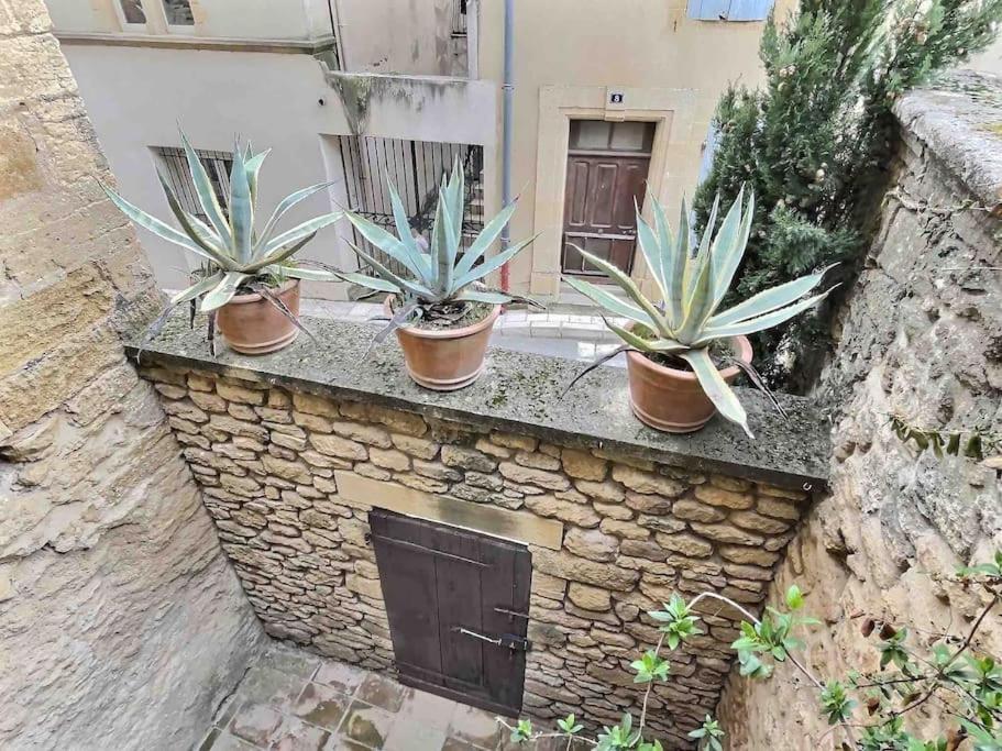 Chez Lydia - Loft Cosy, Depart Canoe A Pied, Proche Pont-Du-Gard Et Uzes Remoulins Luaran gambar
